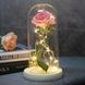 Вечная роза в колбе с LED подсветкой